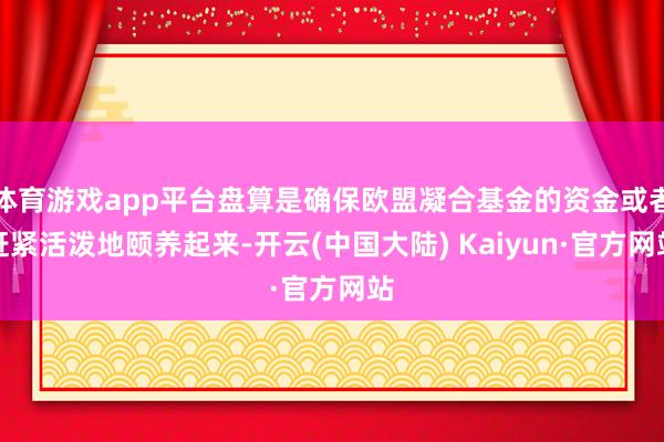 体育游戏app平台盘算是确保欧盟凝合基金的资金或者赶紧活泼地颐养起来-开云(中国大陆) Kaiyun·官方网站