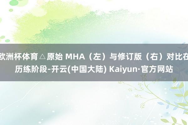 欧洲杯体育△原始 MHA（左）与修订版（右）对比在历练阶段-开云(中国大陆) Kaiyun·官方网站