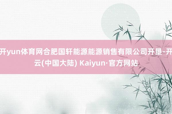 开yun体育网合肥国轩能源能源销售有限公司开垦-开云(中国大陆) Kaiyun·官方网站