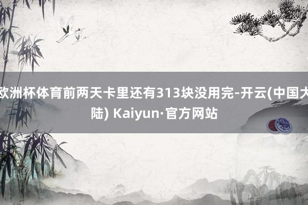 欧洲杯体育前两天卡里还有313块没用完-开云(中国大陆) Kaiyun·官方网站