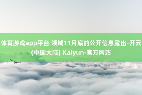 体育游戏app平台 　　领域11月底的公开信息露出-开云(中国大陆) Kaiyun·官方网站